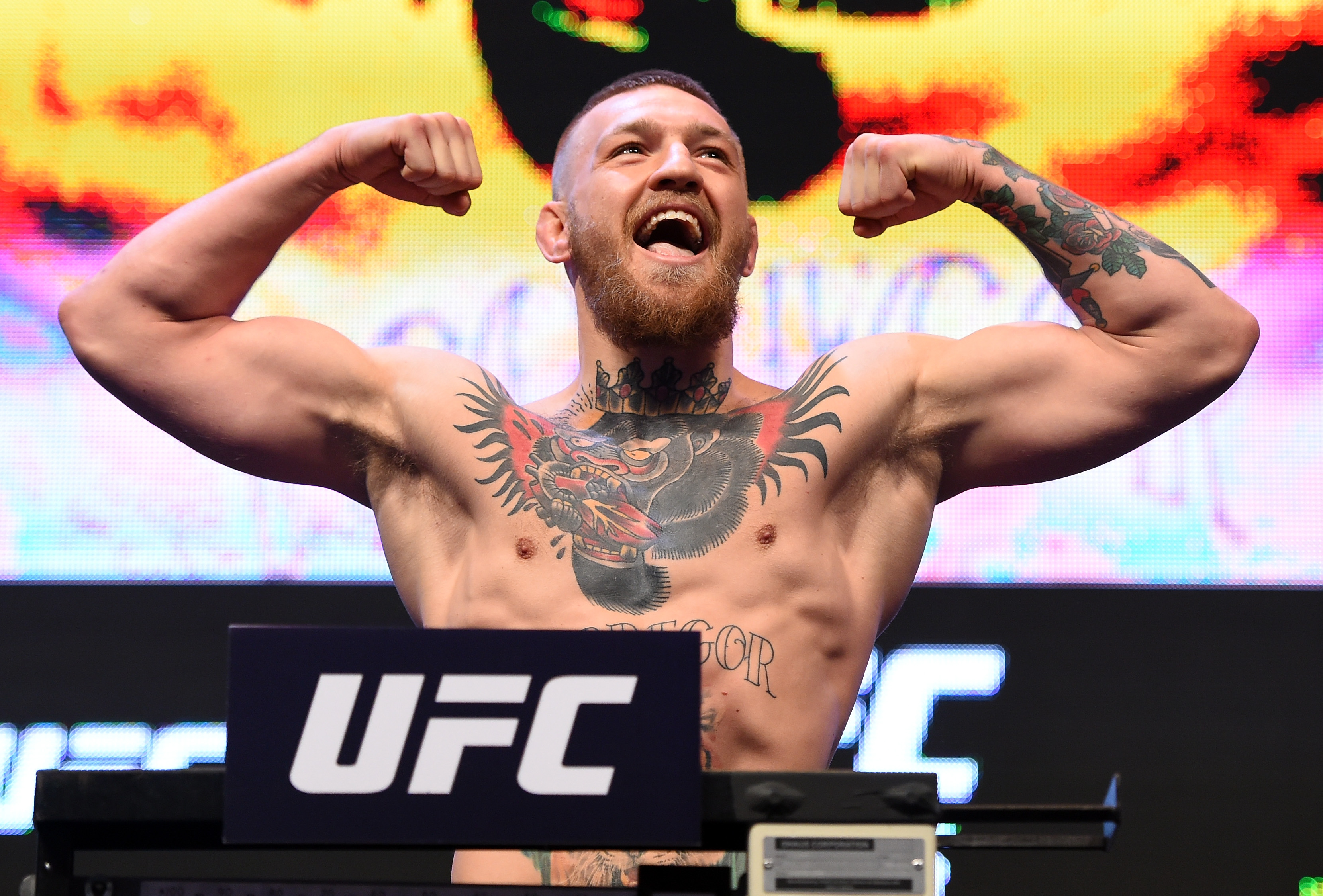 Conor McGregor celebrates on the scales during the UFC 196 weigh-ins at the MGM Grand Garden Arena in Las Vegas on March 4, 2016. Preparing to face Nate Diaz at 170 pounds, the former featherweight champion appeared noticeably fuller than he had during his days at 145 pounds, reflecting the absence of a severe weight cut.