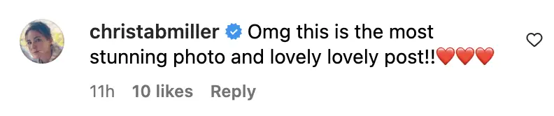 Fan comment dated November 2023 | Source: instagram.com/merediththeweasel