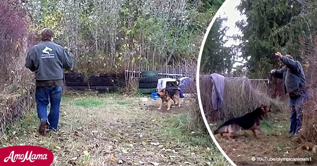 What happened when a man released a dog who was chained for most of his life