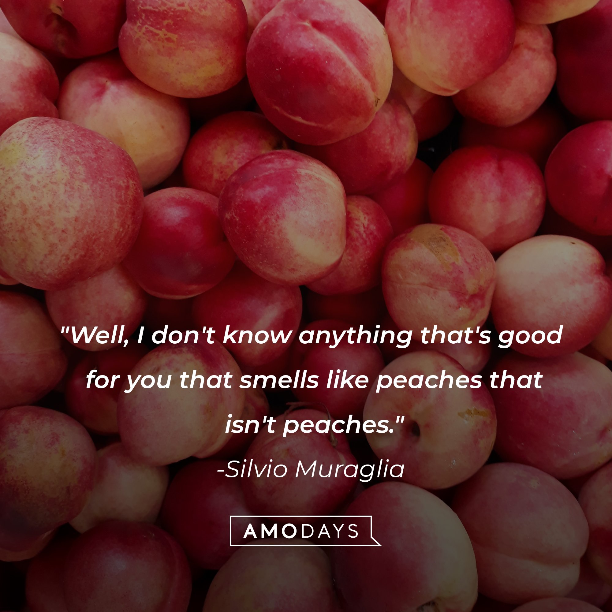 Silvio Muraglia's quote: "Well, I don't know anything that's good for you that smells like peaches that isn't peaches." | Image: AmoDays