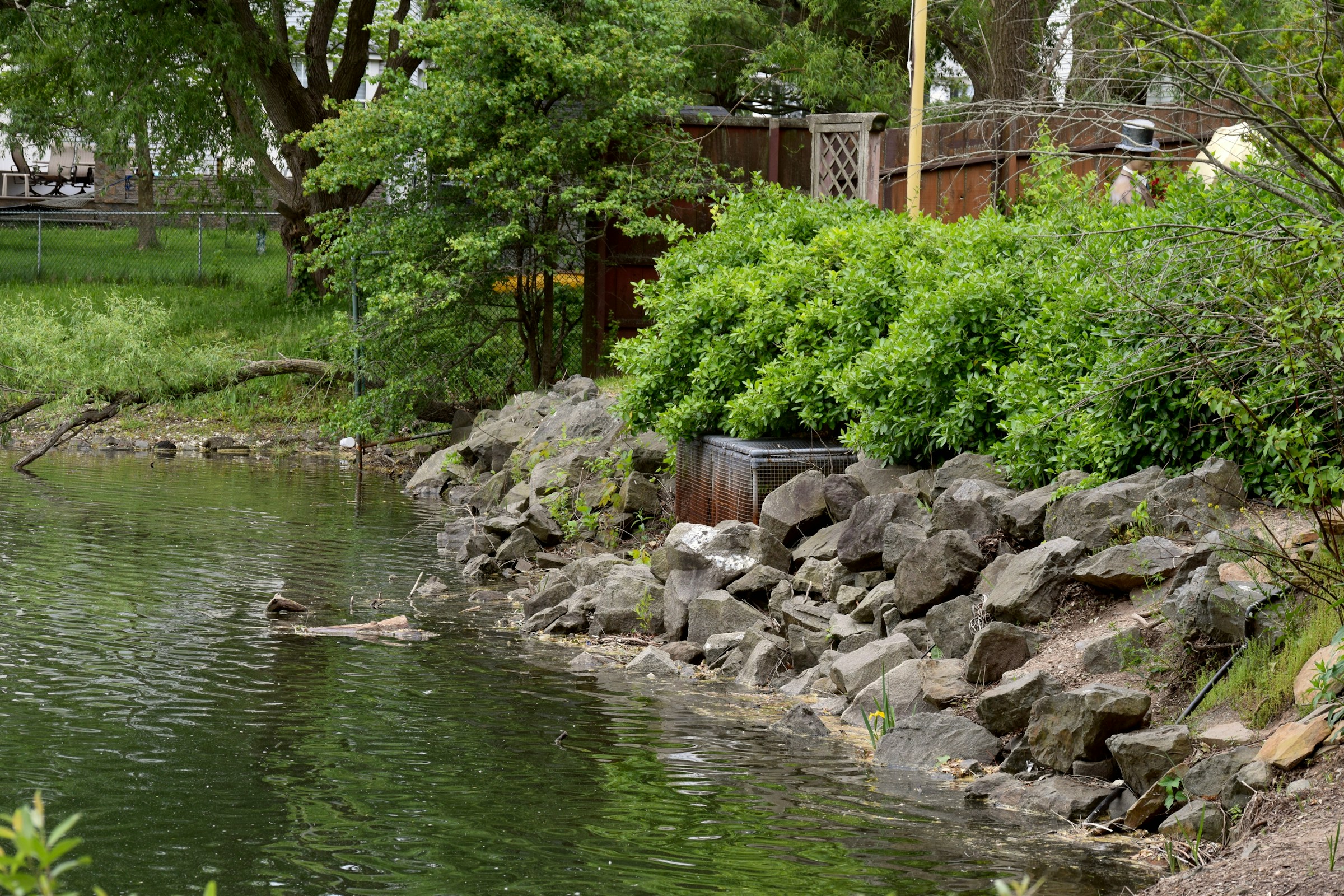 A lake in the backyard of a house | Source: Unsplash