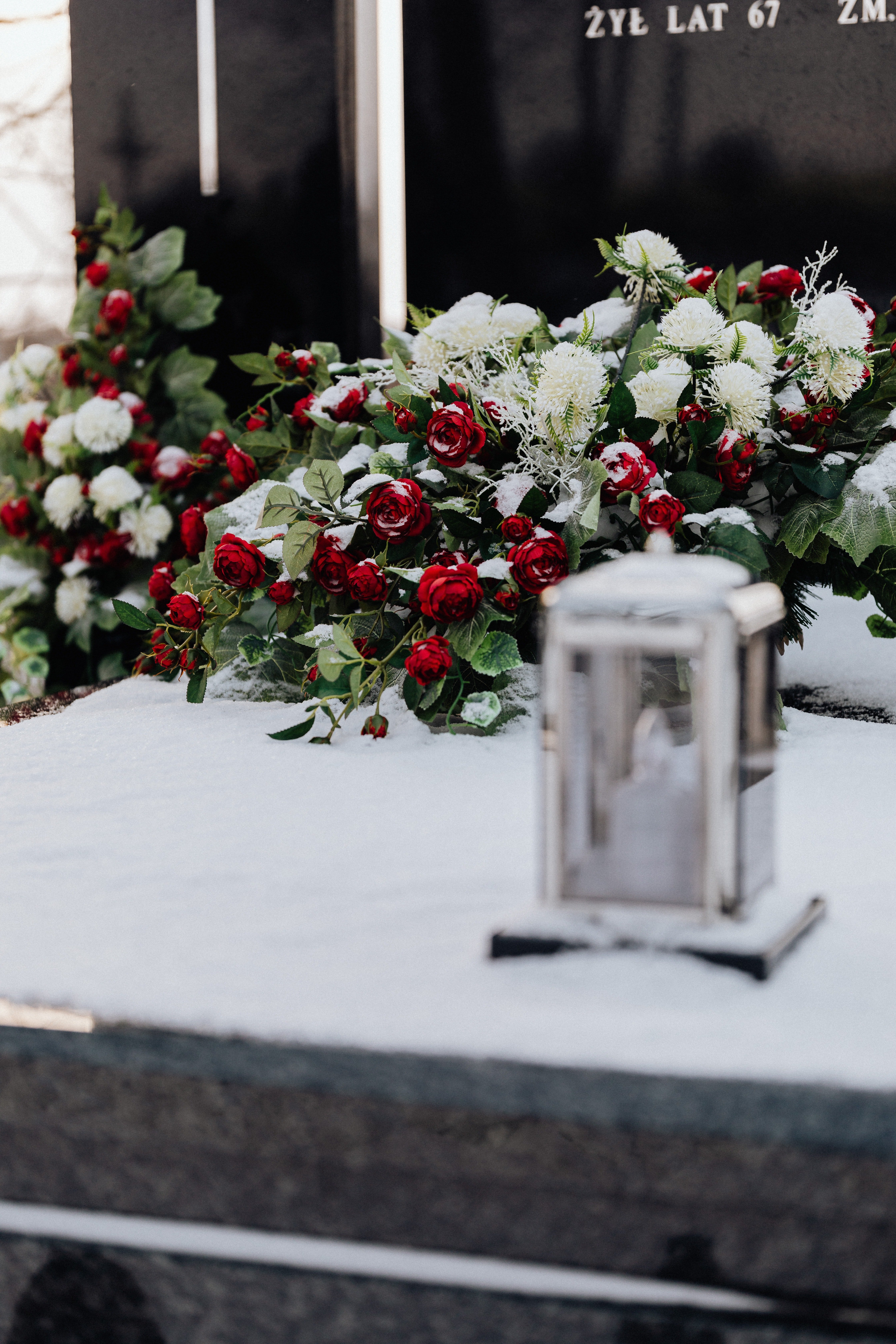Red, white and green flowers on a flat surface. | Photo: Pexels