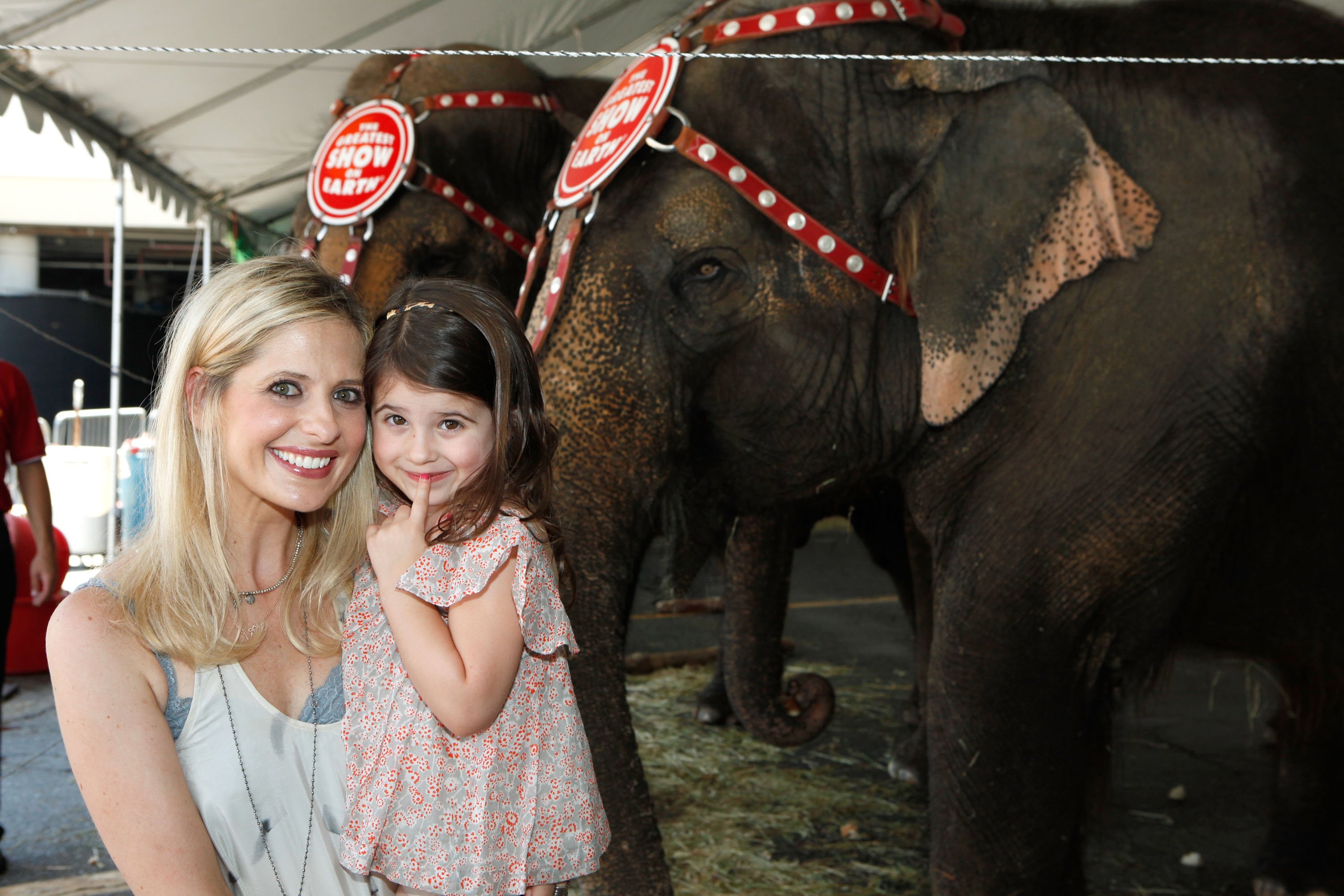Sarah Michelle Gellar and Charlotte Grace Prinze at the Ringling Bros. and Barnum & Bailey Circus presents "Built To Amaze!" on July 14, 2013 | Source: Getty Images
