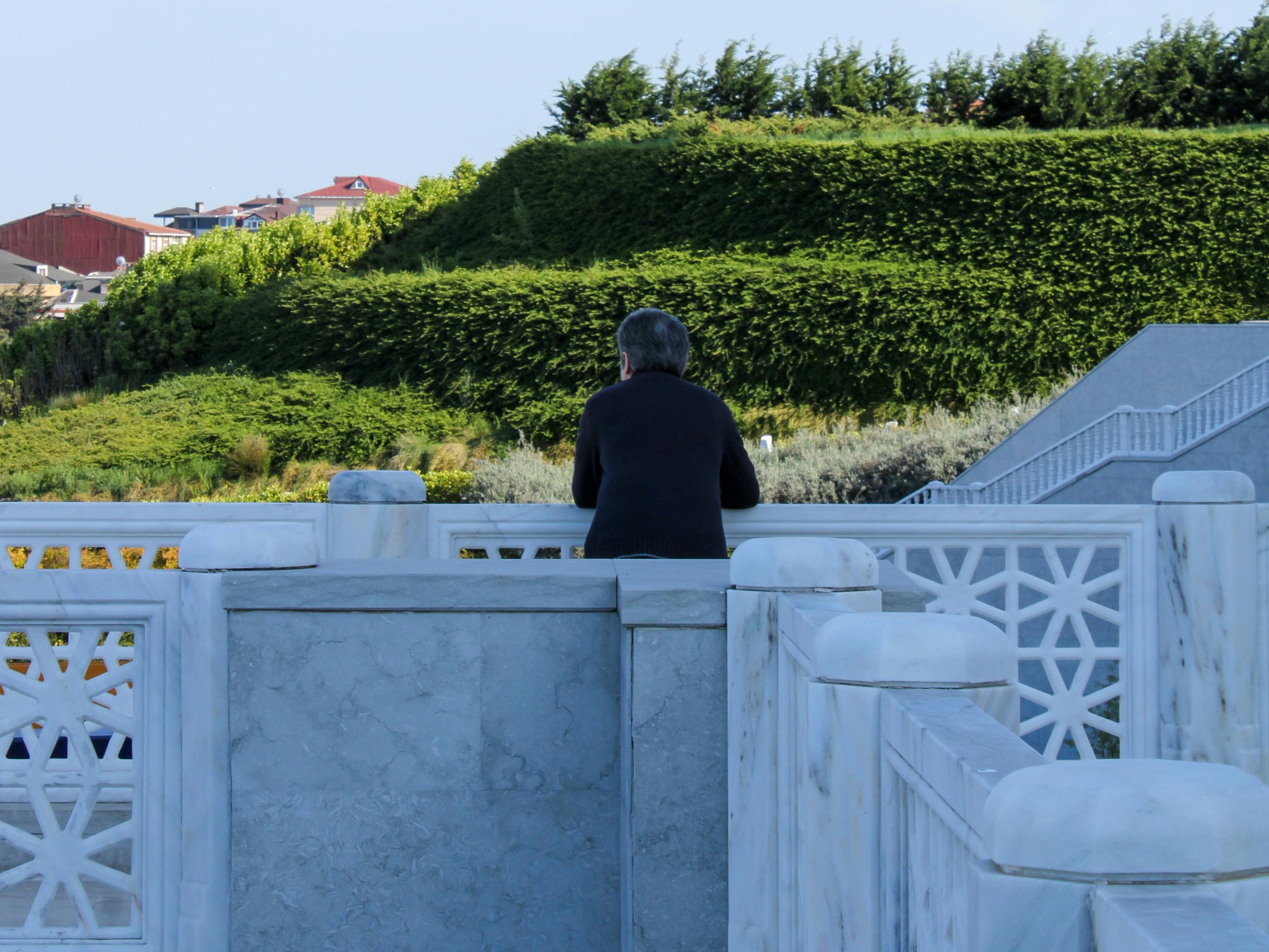 A man looking over a garden wall | Source: Pexels