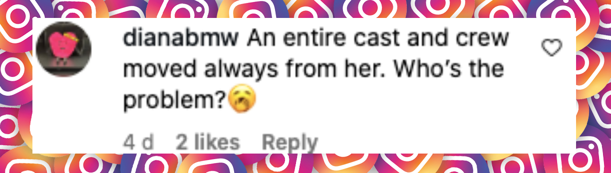 Netizen comment about Roseanne Barr, posted on May 31, 2025. | Source: Instagram/usweekly