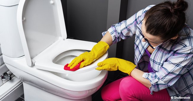 6 étapes: de simples conseils sur la manière de nettoyer les toilettes en 5 minutes