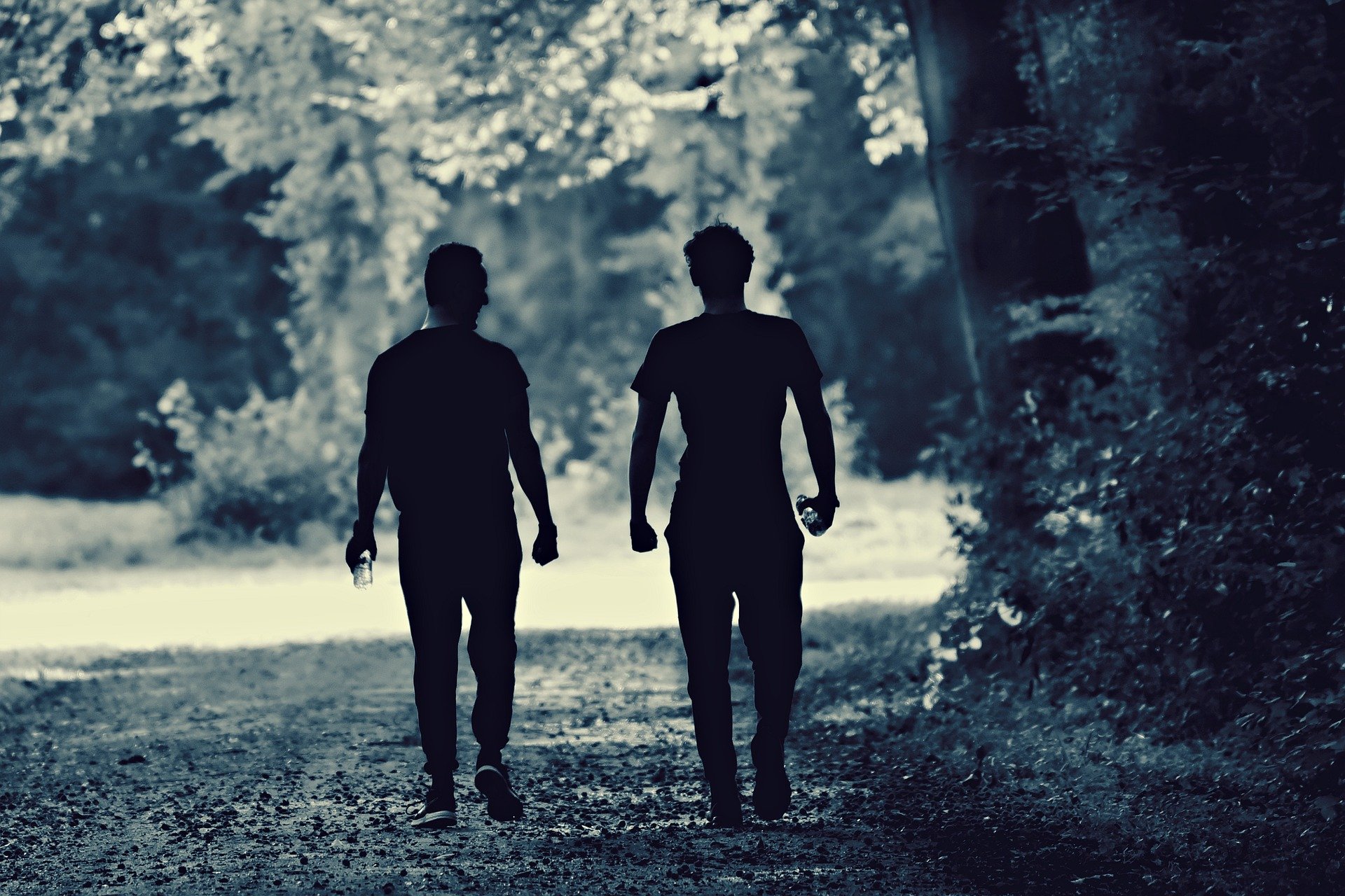 Two men walking on a nature trail. | Source: Pixabay.