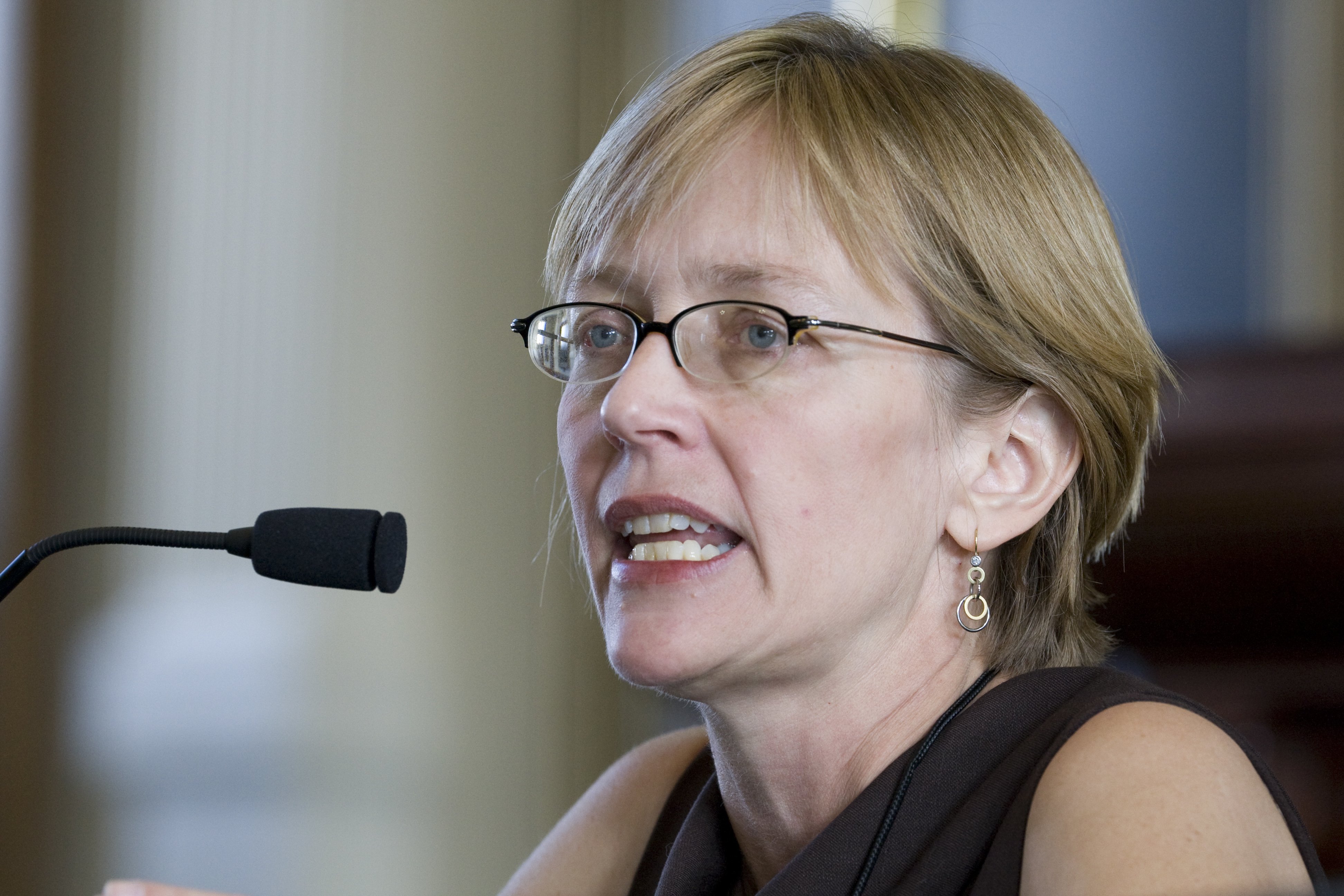 Author and journalist Liza Mundy speaking at the Texas Book Festival in Texas, circa 2008. | Source: Getty Images 