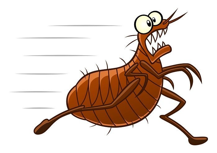 Imagen tomada de: Shutterstock Imagen tomada de: Shutterstock