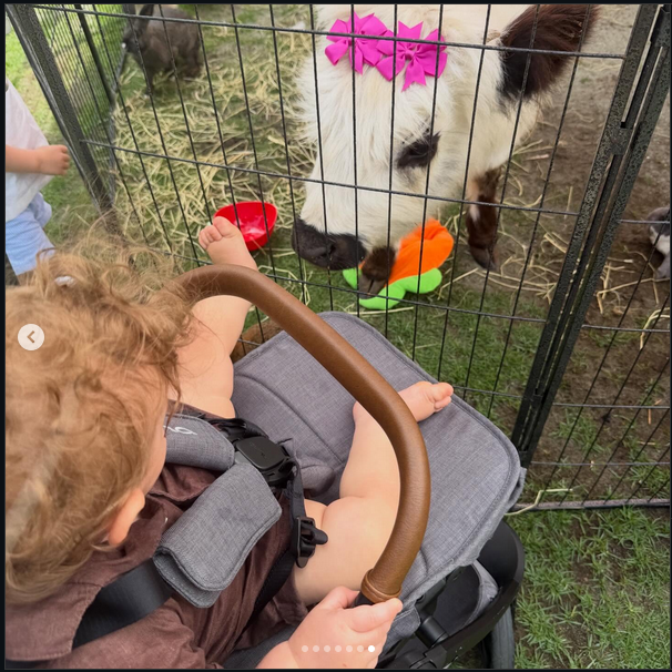 Alexander Trump Boulos, from a post dated April 6, 2026 | Source: Instagram/tiffanytrump