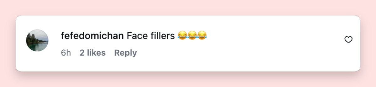 Netizen comment about Dakota Johnson, posted on April 24, 2026. | Source: Instagram/entertainmenttonight