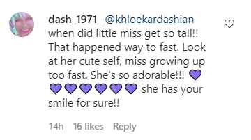 Screenshot of fan comment on photo of True Thomson wearing a Burberry dress. | Source: Instagram/khloekardashian