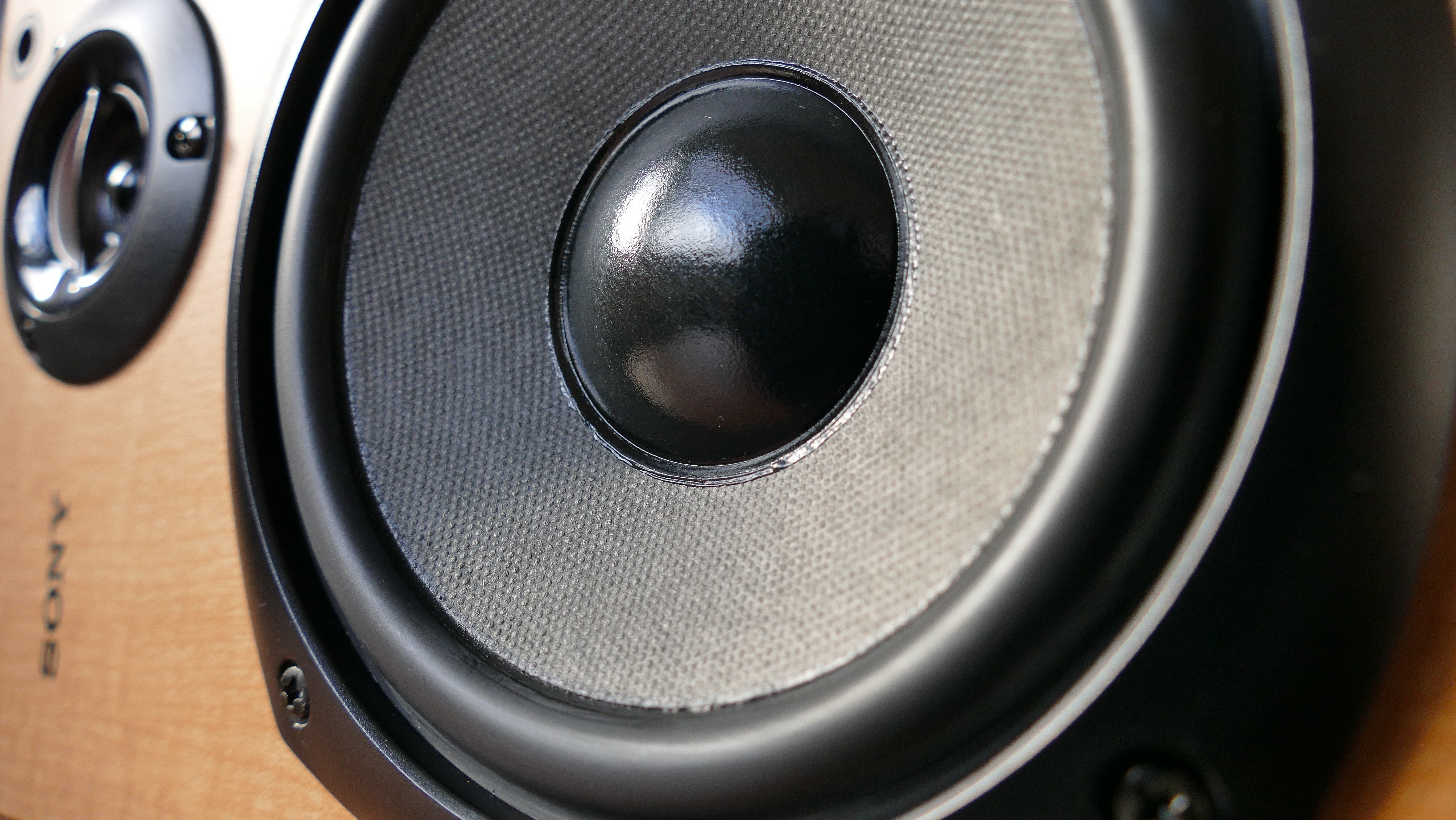 Lisa often played loud music to distract me from work | Photo: Pexels