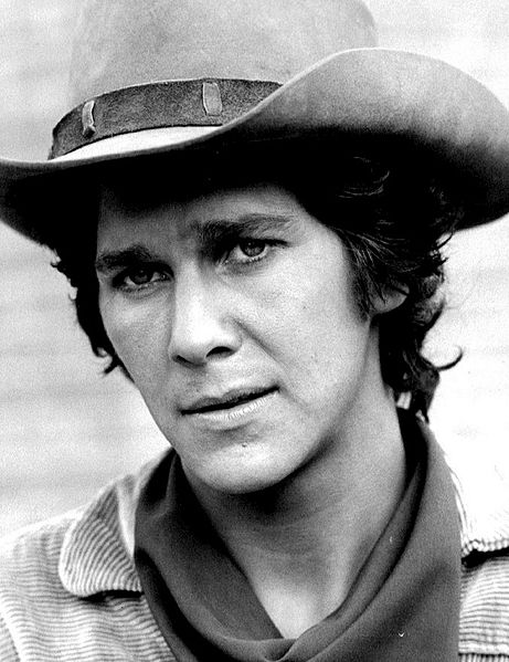  Tim Matheson as Griff King, 1972. | Source: Wikimedia Commons