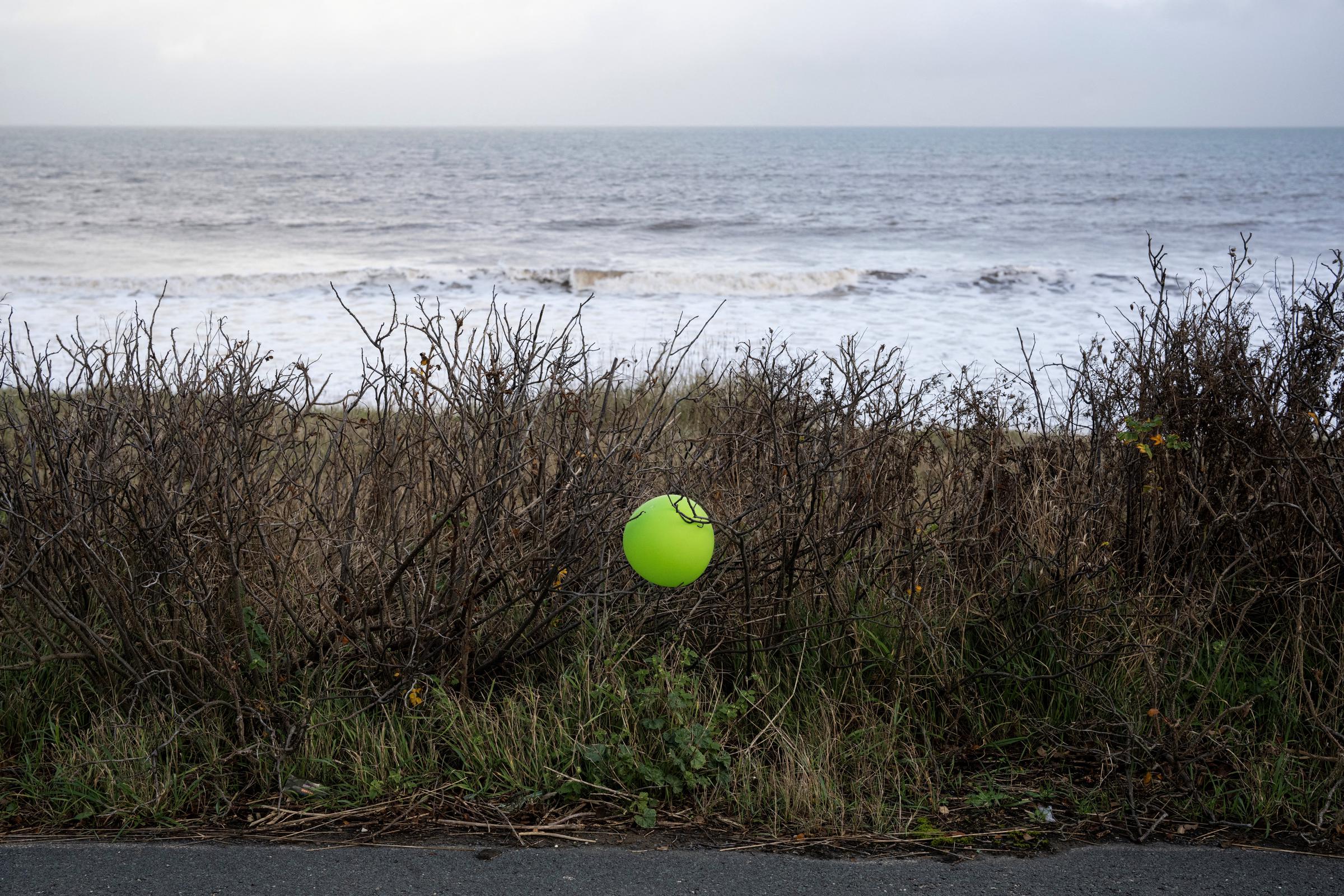 A balloon caught in a hedgerow above a cliff edge on the North Sea coast in an area which is experiencing intense coastal erosion in the East Riding of Yorkshire, England, photographed on November 13, 2025. | Source: Getty Images