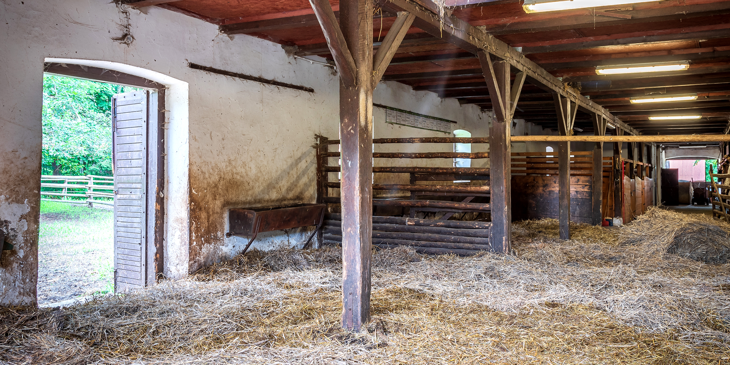 An old shed full of hay | Source: Shutterstock