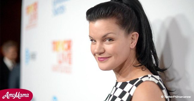 Pauley Perrette blasts 'Family Feud' for 'nasty' questions