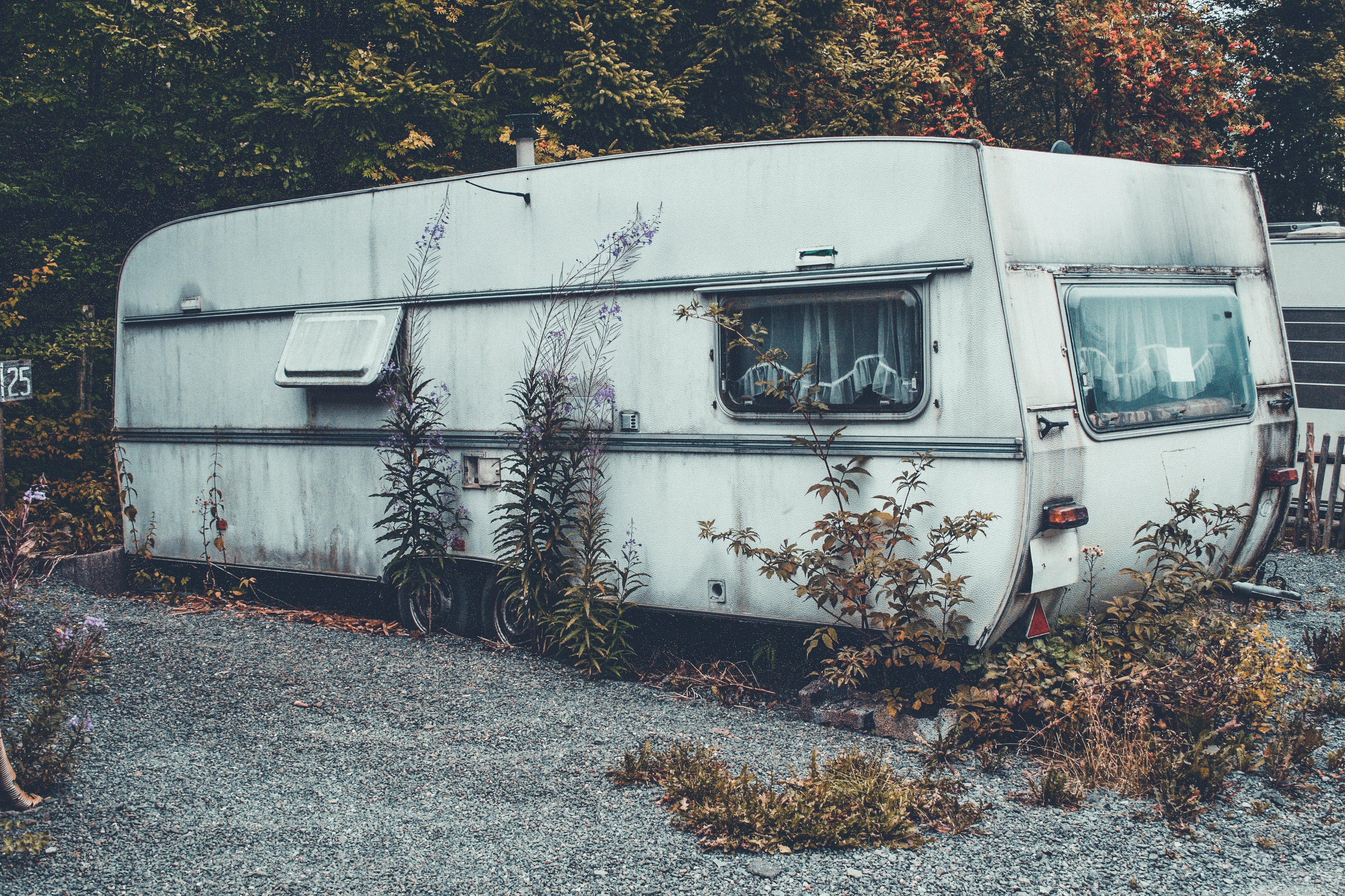 Polly followed the children until they stopped at an old trailer. | Source: Unsplash