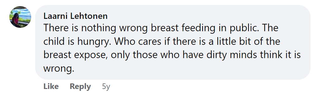 A comment on a Daily Mail Facebook post about Nicolle Blackman's public breastfeeding story on September 19, 2017 | Source: Facebook/Daily Mail