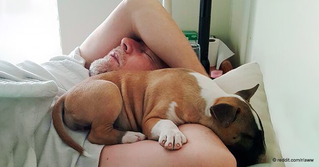 Funny photos of parents who were furious at seeing pets at home and now can't live without them