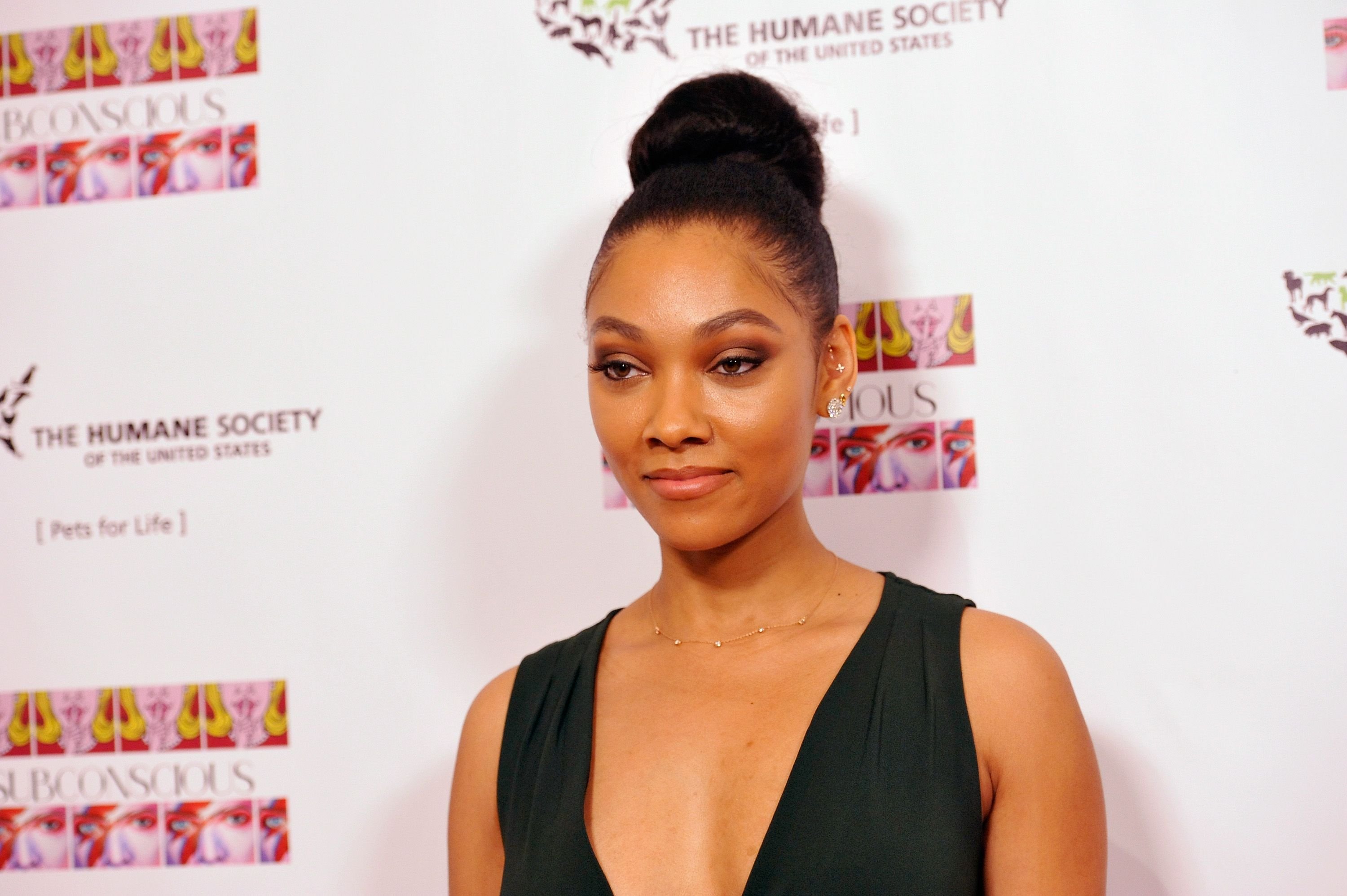 Bria Murphy during the debut gallery opening of her art show, "Subconscious," on November 20, 2016 in Los Angeles, California. | Source: Getty Images