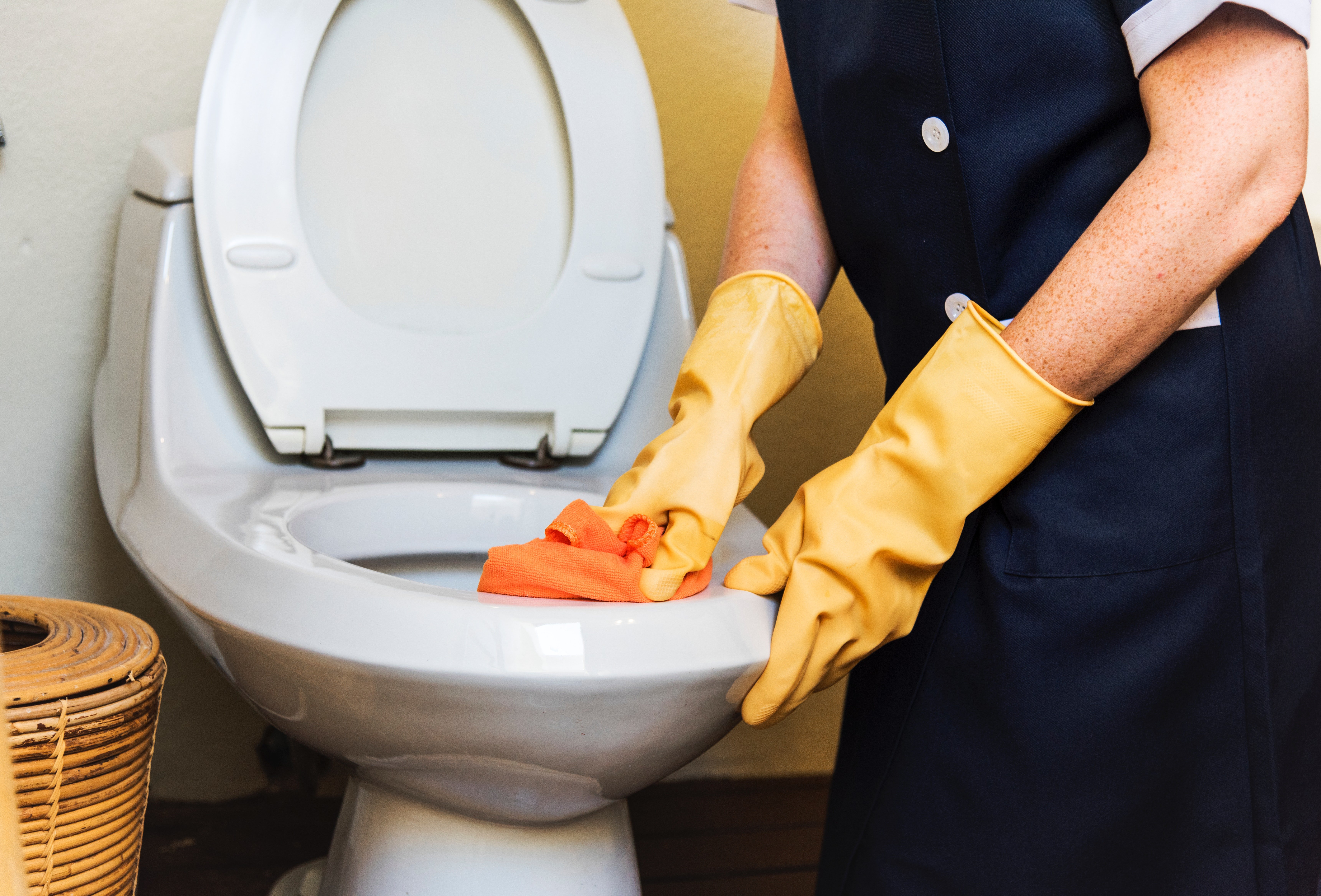 Un homme en train de nettoyer la cuvette de toilette. | Photo : Pexels Un homme en train de nettoyer la cuvette de toilette. | Photo : Pexels
