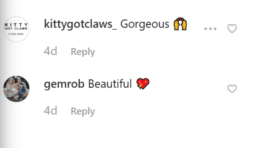 Fan comment on Bindi Irwin's post. | Source: Instagram/BindiIrwin