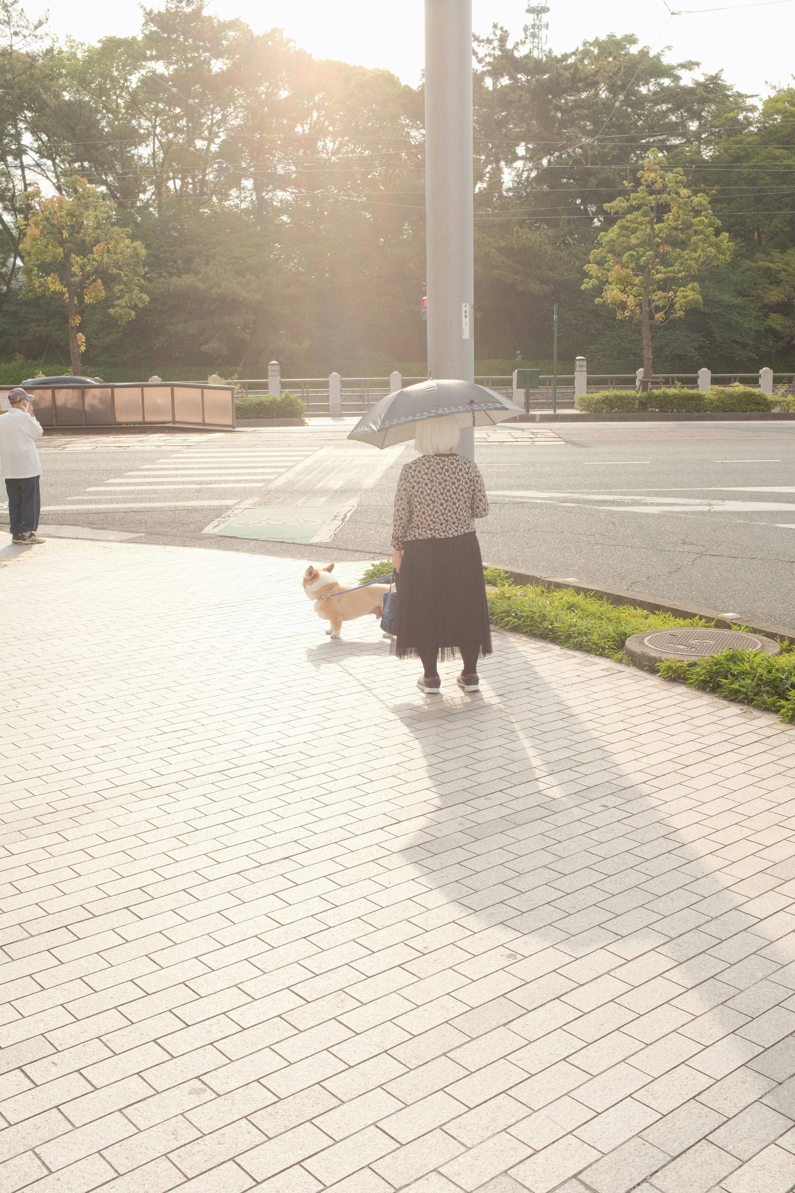 An older woman with her dog | Source: Unsplash