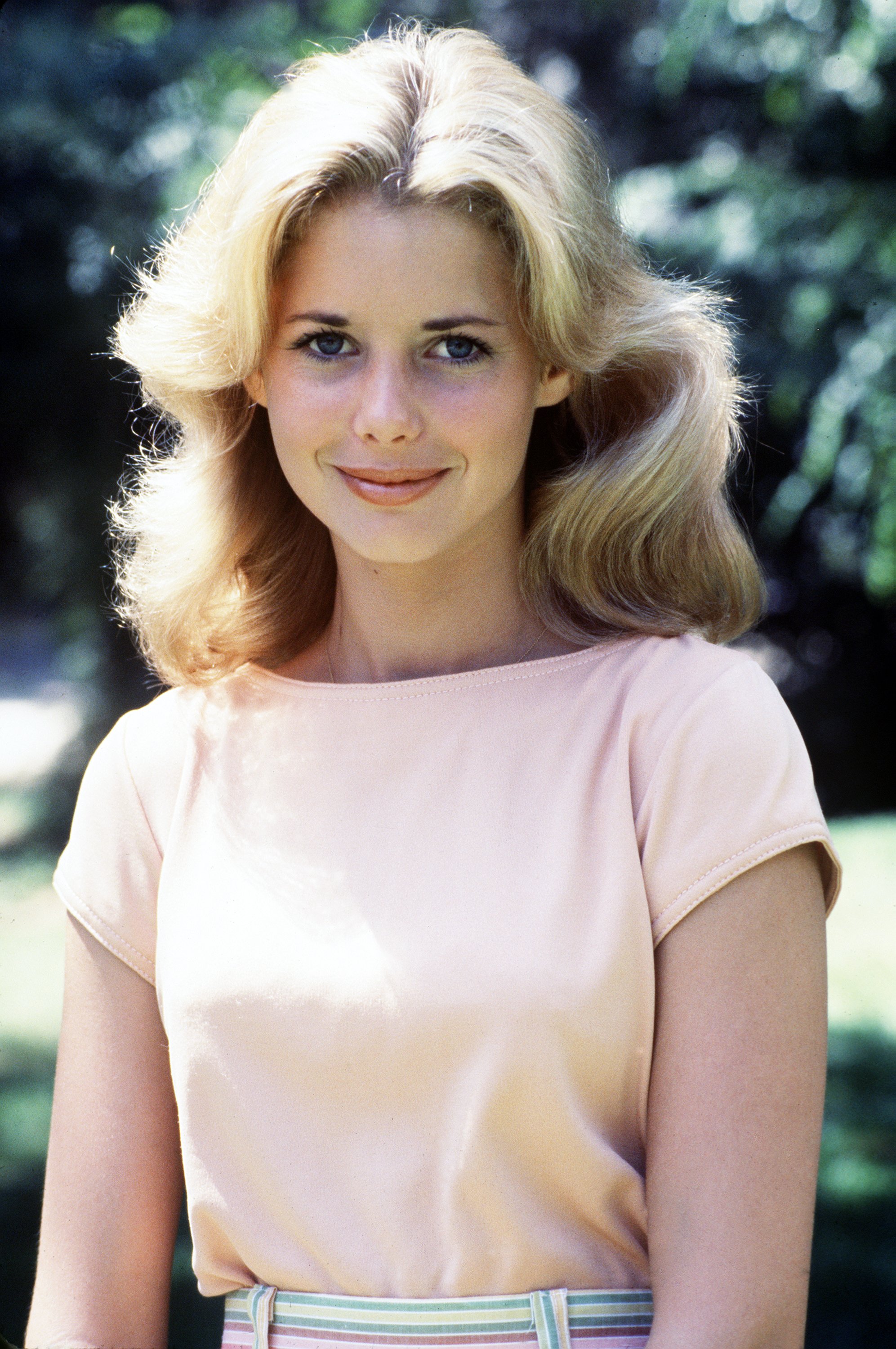 Dianne Kay as Nancy Bradford in "Eight Is Enough" | Source: Getty Images