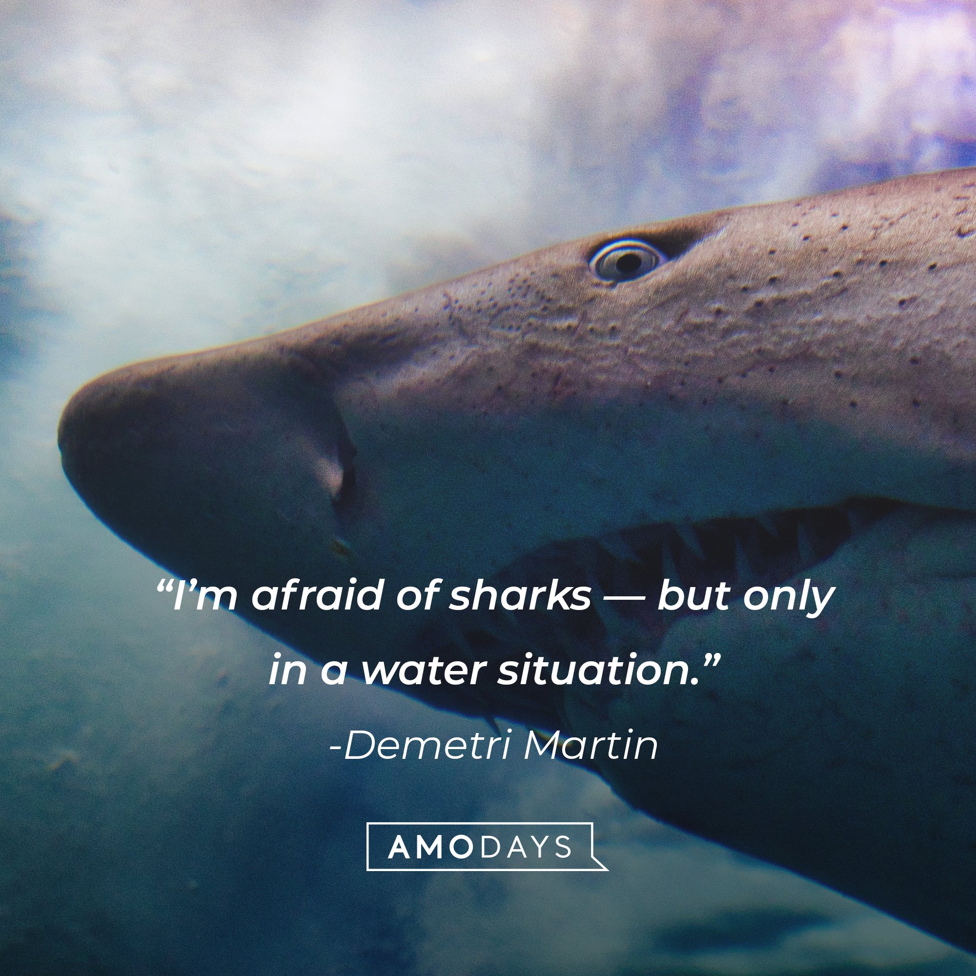 Demetri Martin's quote: “I’m afraid of sharks—but only in a water situation.” | Image: AmoDays