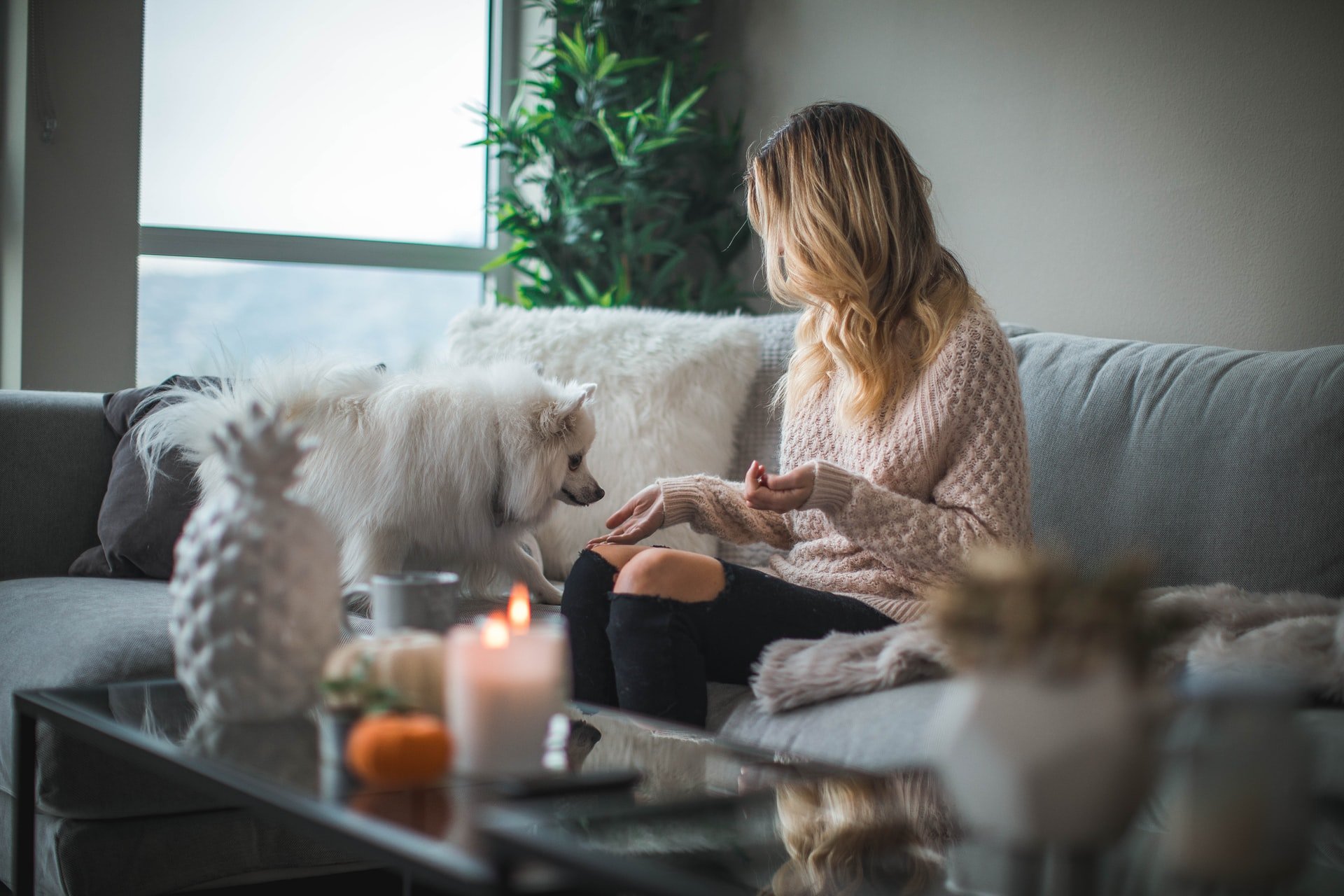OP sitting with her dog in her room | Source: Unsplash