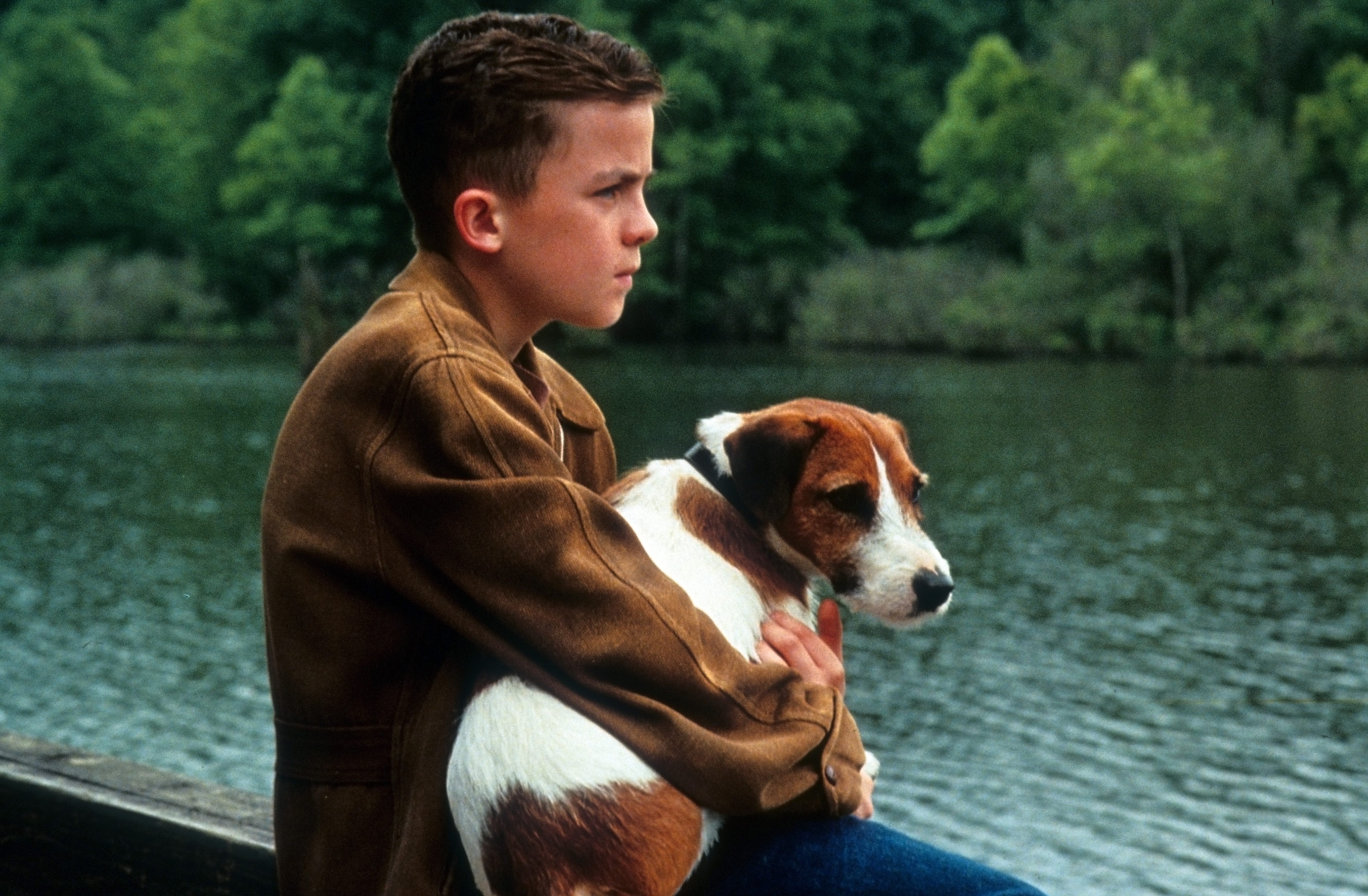 Frankie Muniz holds Skip in a scene from the Warner Brothers movie "My Dog Skip" in 2000 | Source: Getty Images