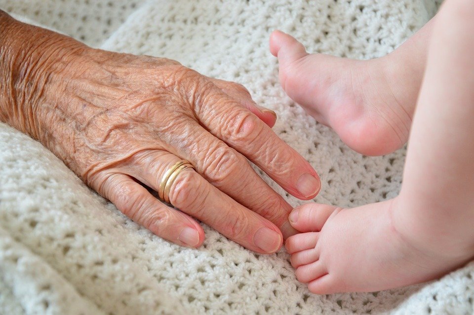 Mano de persona mayor y mano de bebé. |Imagen: Pixabay Mano de persona mayor y mano de bebé. |Imagen: Pixabay