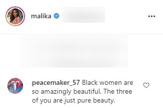 A fan's comment under a post made by Malika Haqq on her Instagram page | Photo: Instagram/malik