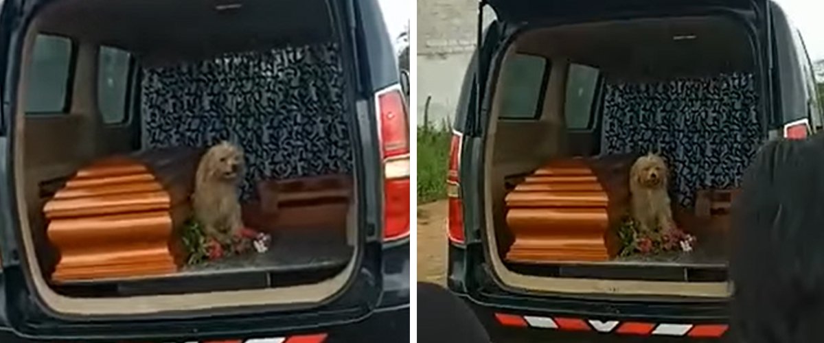  facebook.com/FunerariaysaladevelacionessantaRosa2017