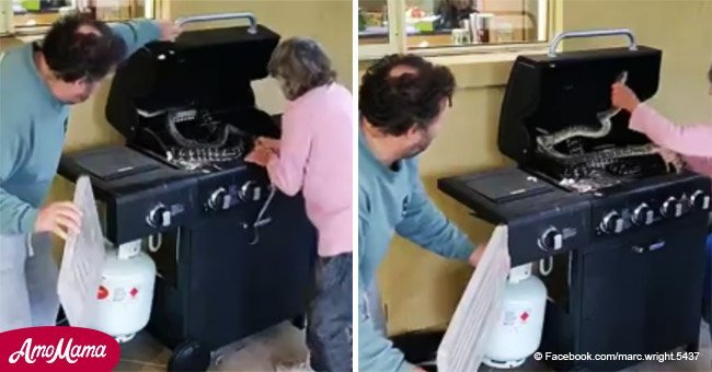 Fearless grandma caught on camera wrangling two large snakes out of her BBQ 