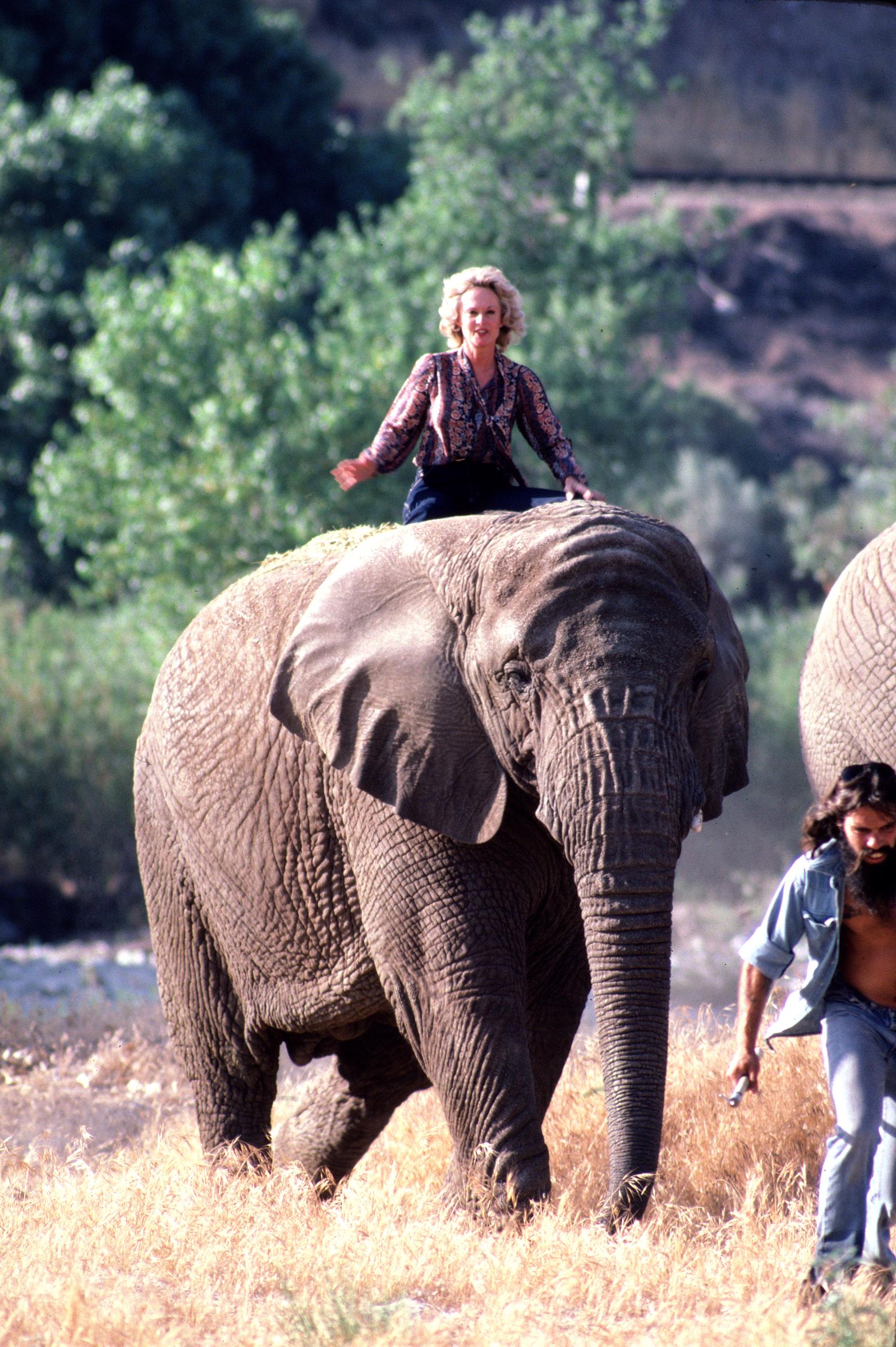 Melanie Griffiths sits astride an Elephant at her Saugus Animal reserve in Saugus, California, November 17, 1983. | Source: Getty Images