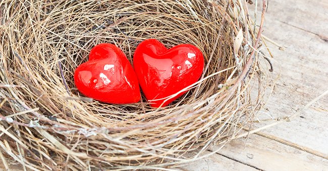 Corazones rojos en un nido. | Foto: Shutterstock