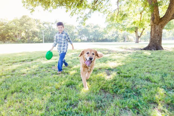 Roy threw the frisbee again and again, and before he knew it, he was doing it for the first time with the hint of a smile on his face | Source: Pexels
