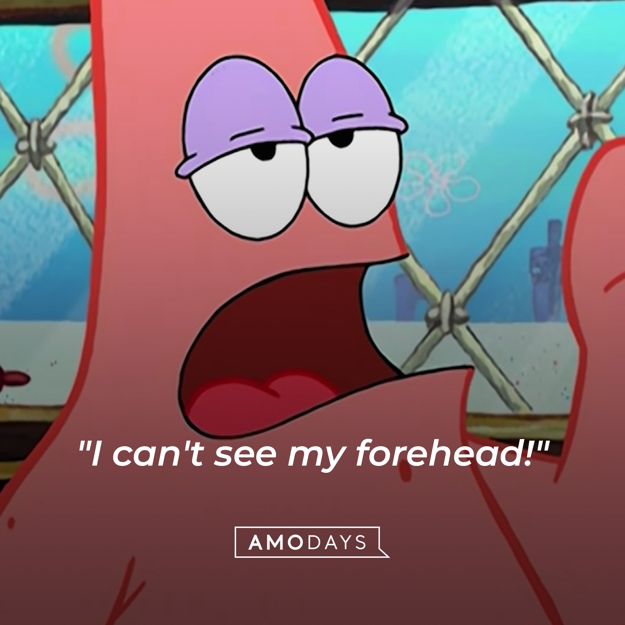 91 Patrick Star Quotes that Are Witty and Hilarious