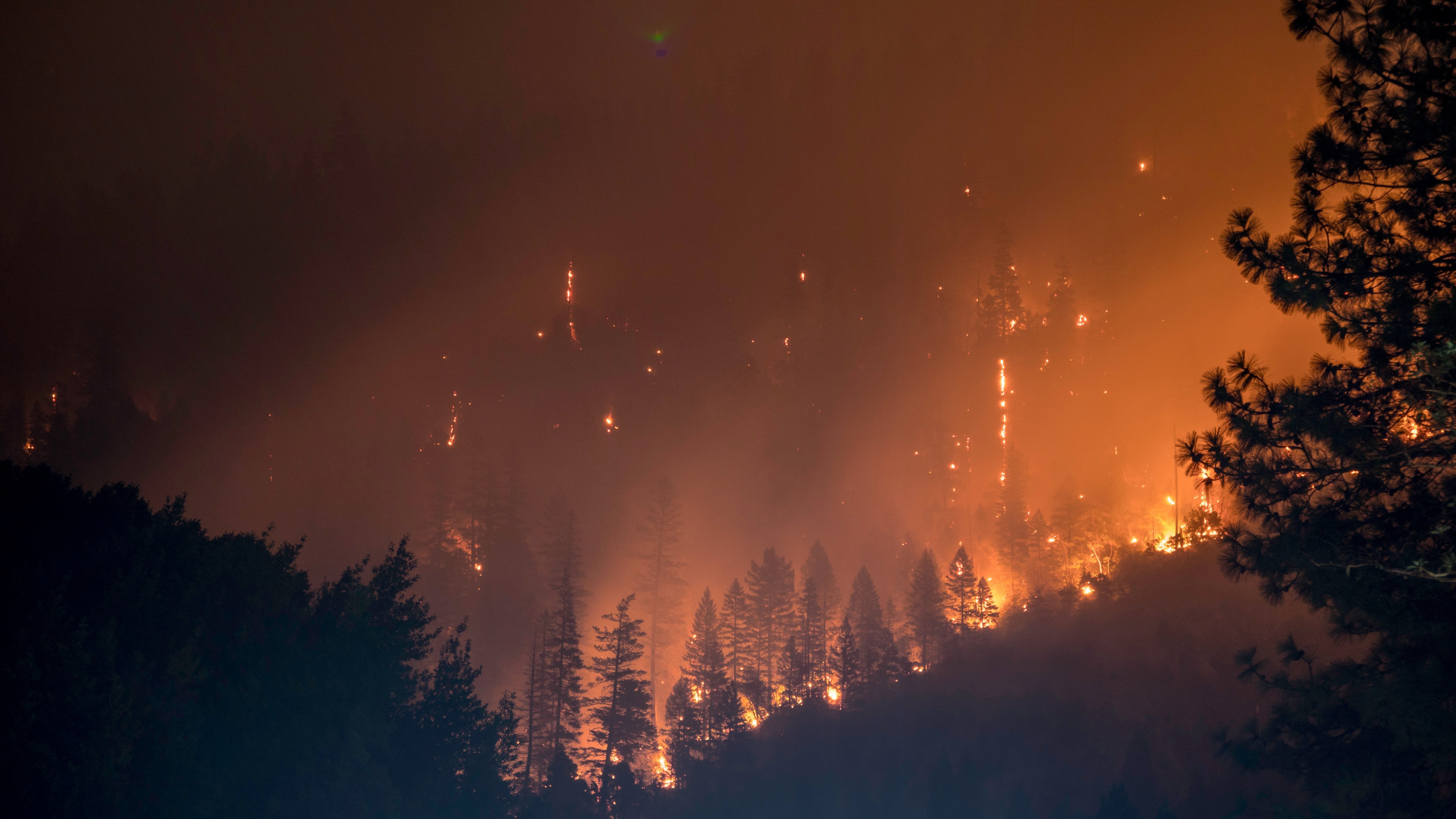 A raging forest fire | Source: Unsplash.com
