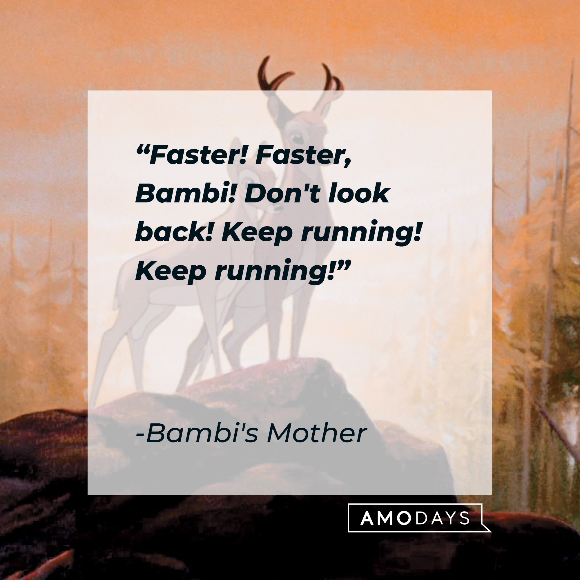 Bambi's Mother's quote "Faster! Faster, Bambi! Don't look back! Keep running! Keep running!" | Source: facebook.com/DisneyBambi