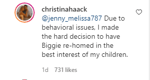 Christina Haack's reply to a fan's comment on Instagram. | Photo: Getty Images
