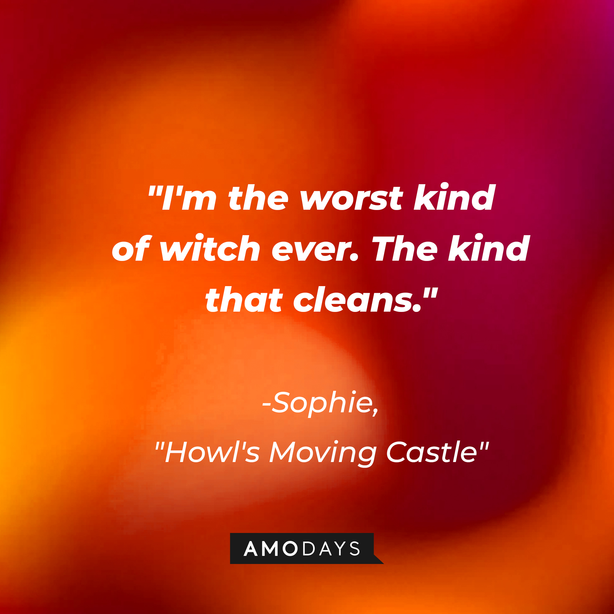 Sophie's quote in "Howl's Moving Castle:" "I'm the worst kind of witch ever. The kind that cleans." | Source: AmoDays