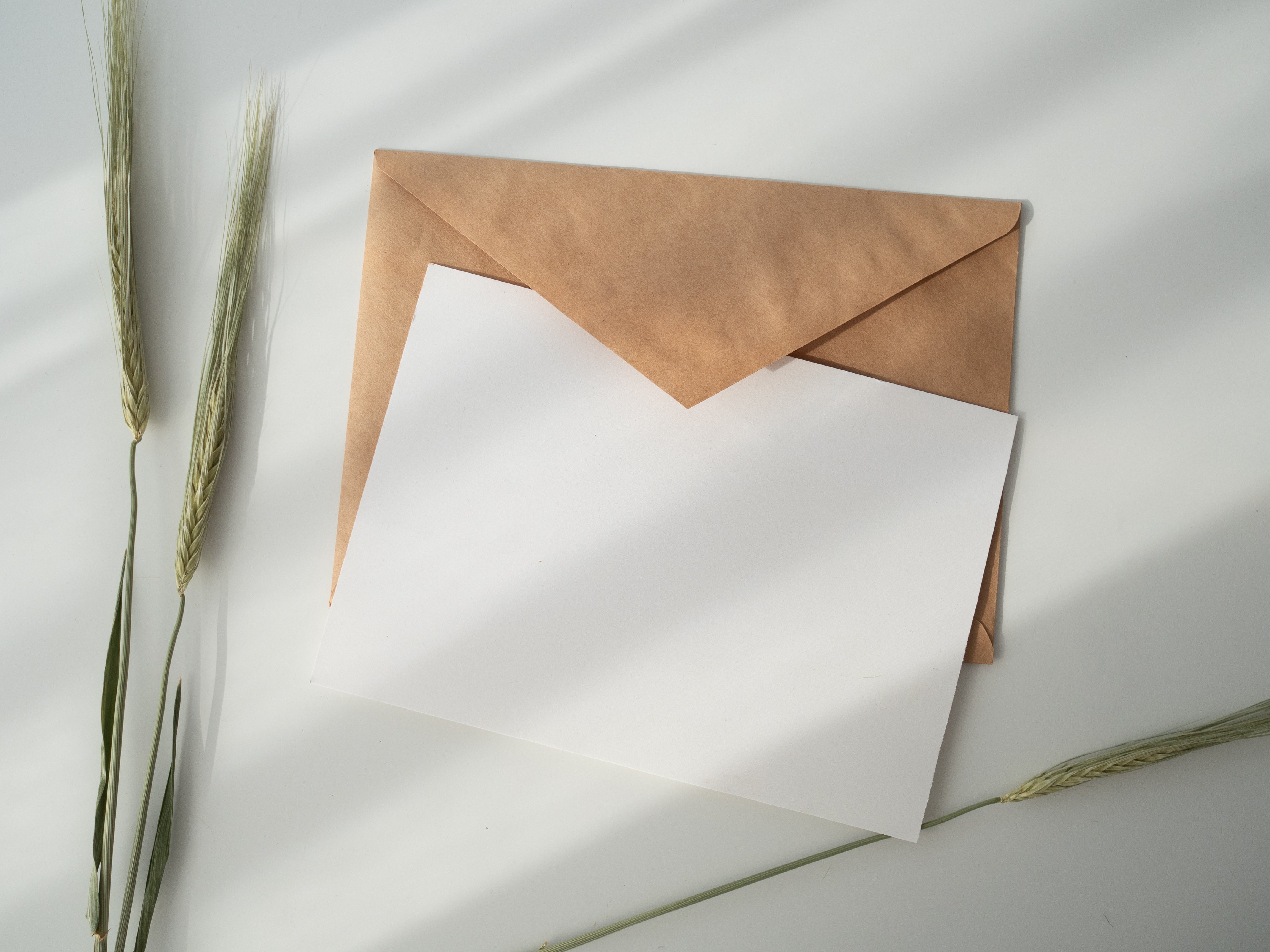 An envelope | Source: Unsplash.com