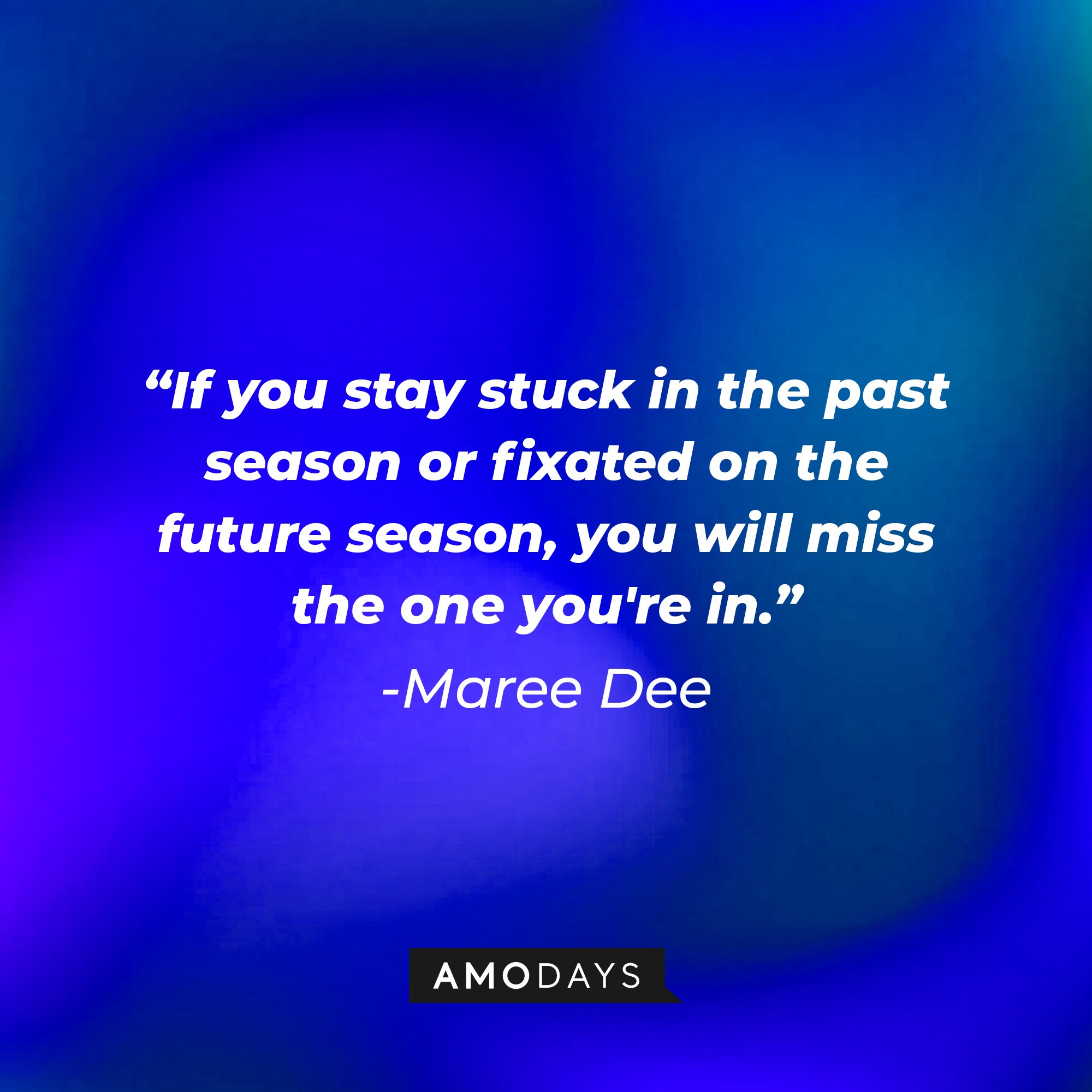 Maree Dee’s quote: "If you stay stuck in the past season or fixated on the future season, you will miss the one you're in." | Image: AmoDays