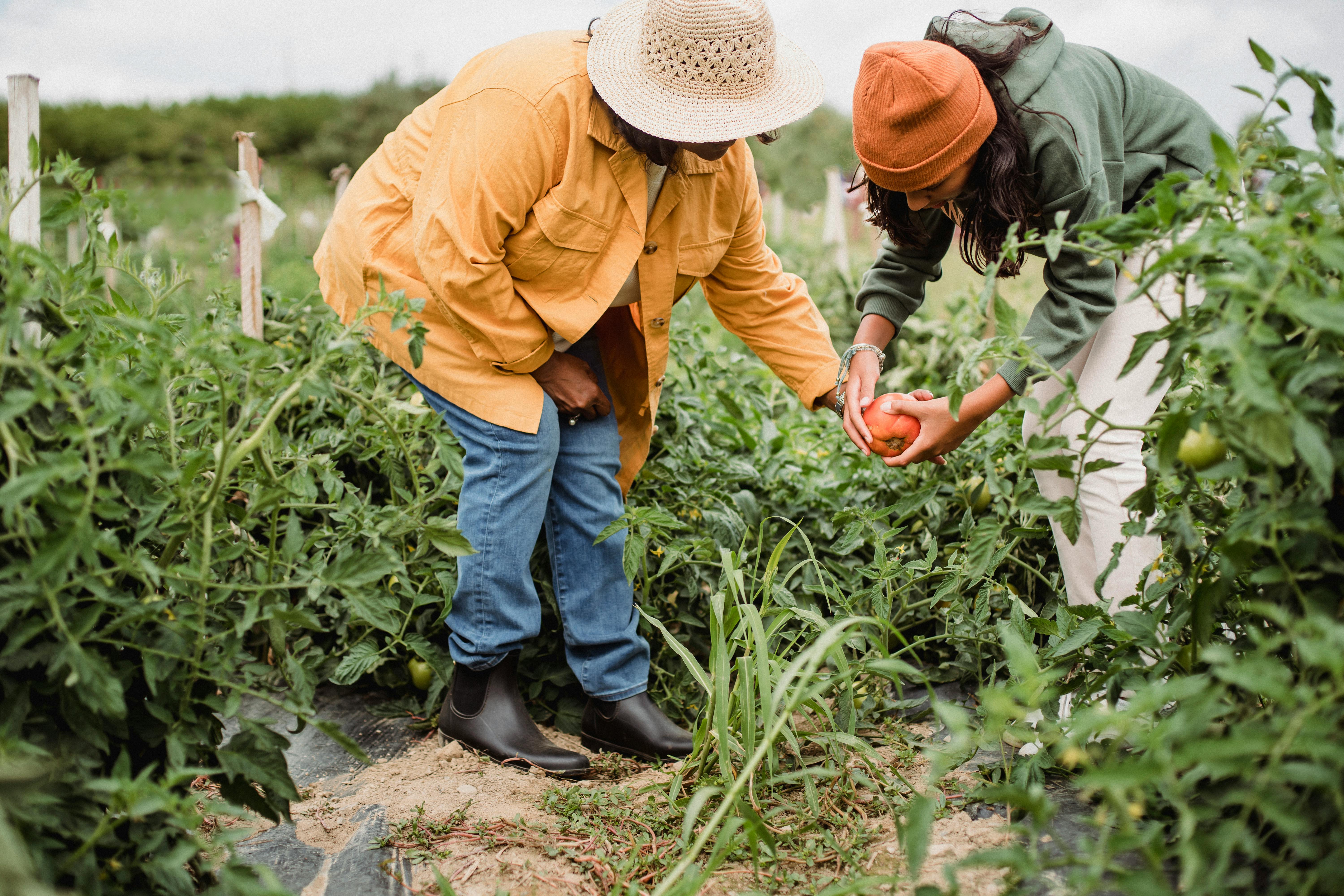 Two people gardening | Source: Pexels