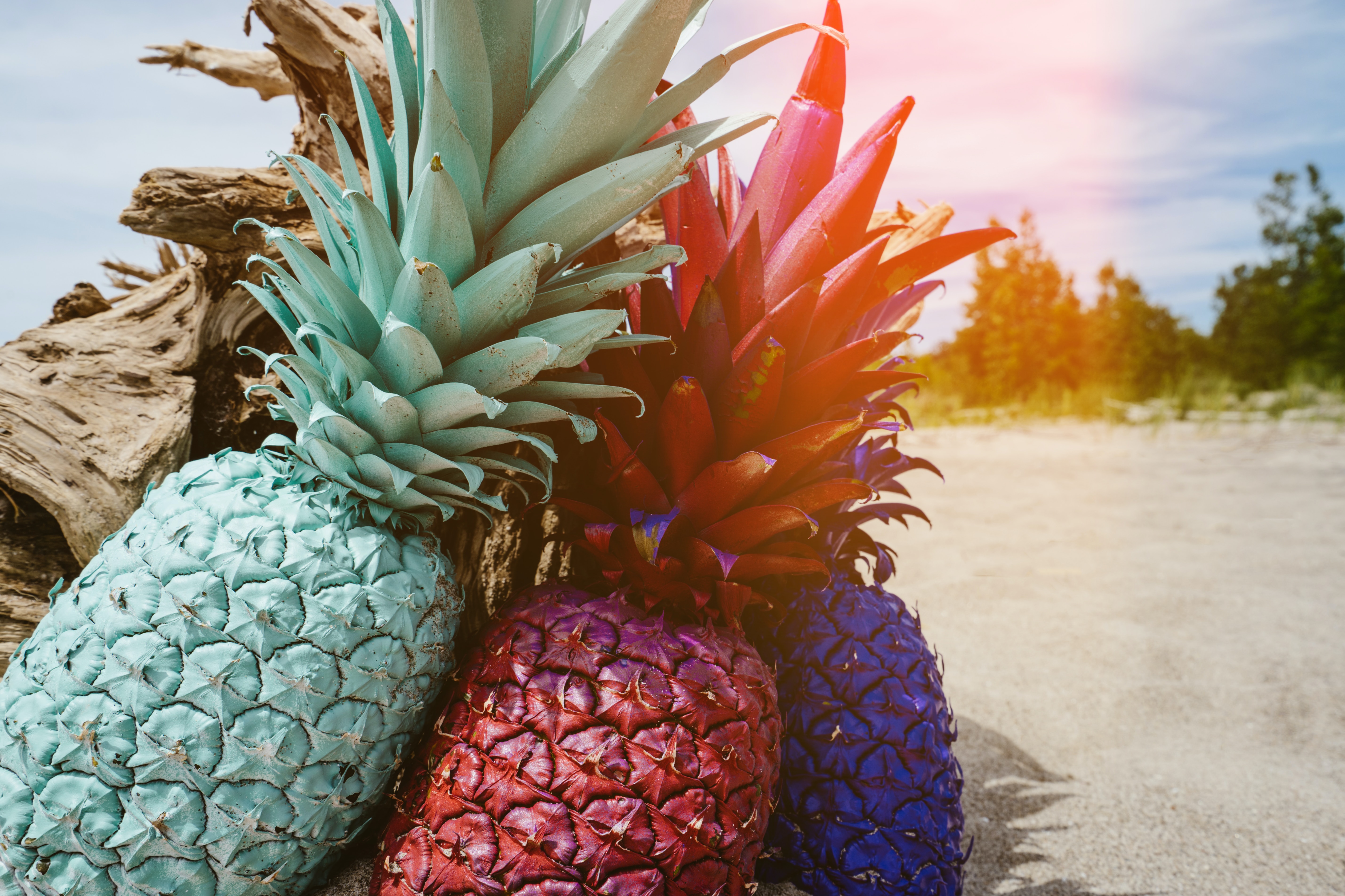 Colored pineapples. | Source: Unsplash