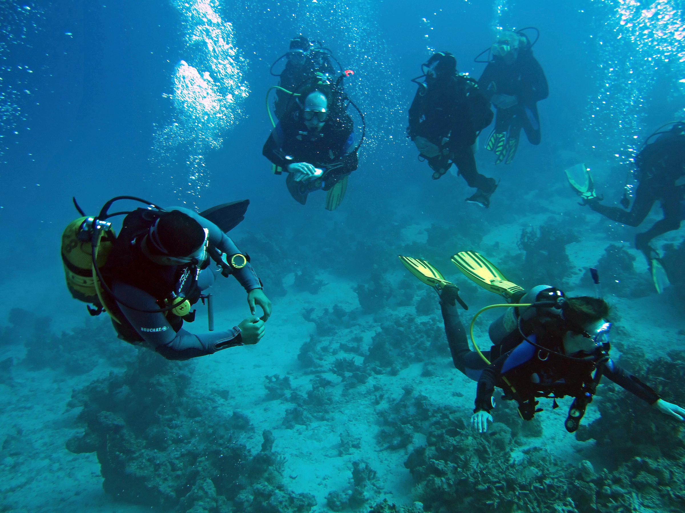 Divers in the deep waters | Source: Getty Images