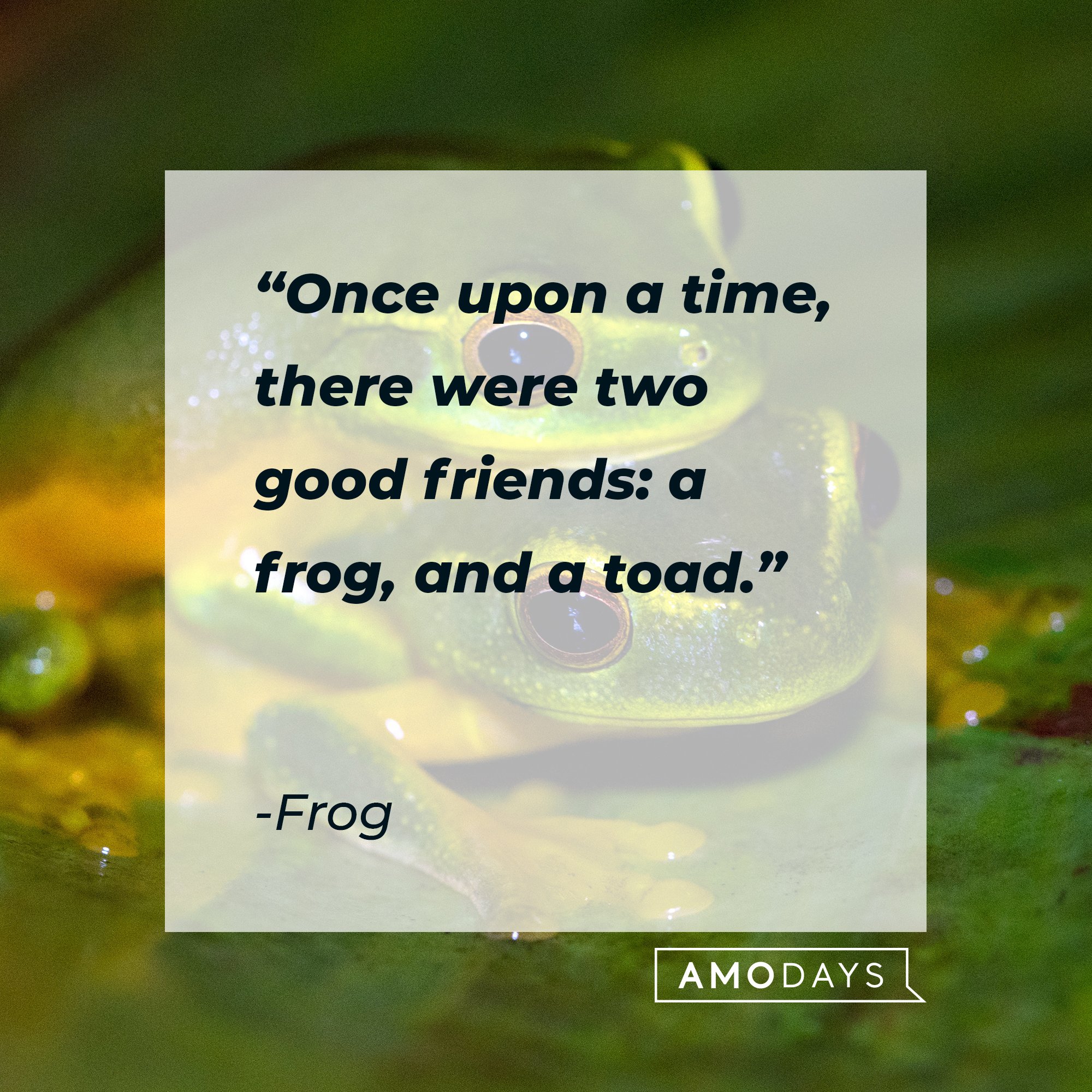 Frog's quote: "Once upon a time, there were two good friends: a frog and a toad” | Image: AmoDays